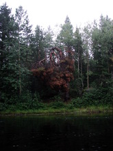 Сплав по Карелии, 13.08.2007