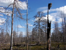 Сплав по Карелии, 20.08.2007