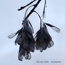 Обложка альбома «На волне» 2021-го группы “Nia Ou Veas”